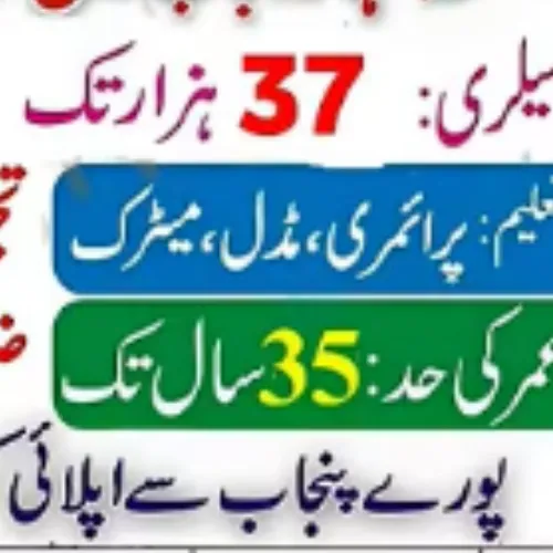 Jobs for Female WhatsApp Group