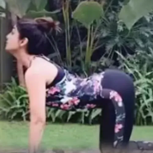 New Viral Videos WhatsApp