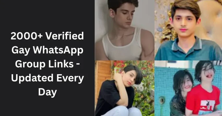 2000+ Verified Gay WhatsApp Group Links -Updated Every Day